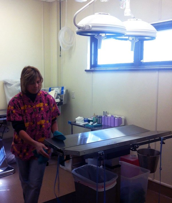 Kentucky Humane Society staff