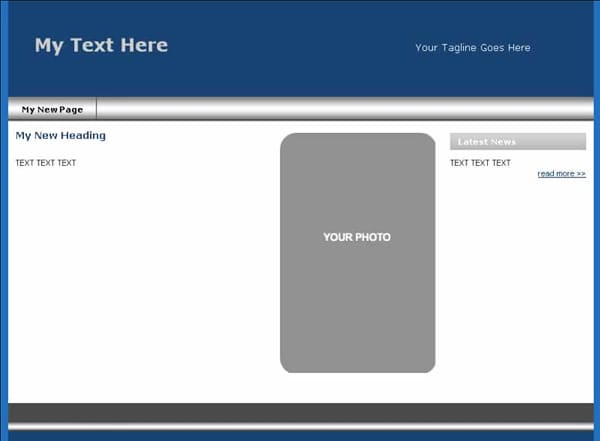 what is a theme or template