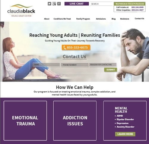 Website Design