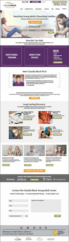 Website Design